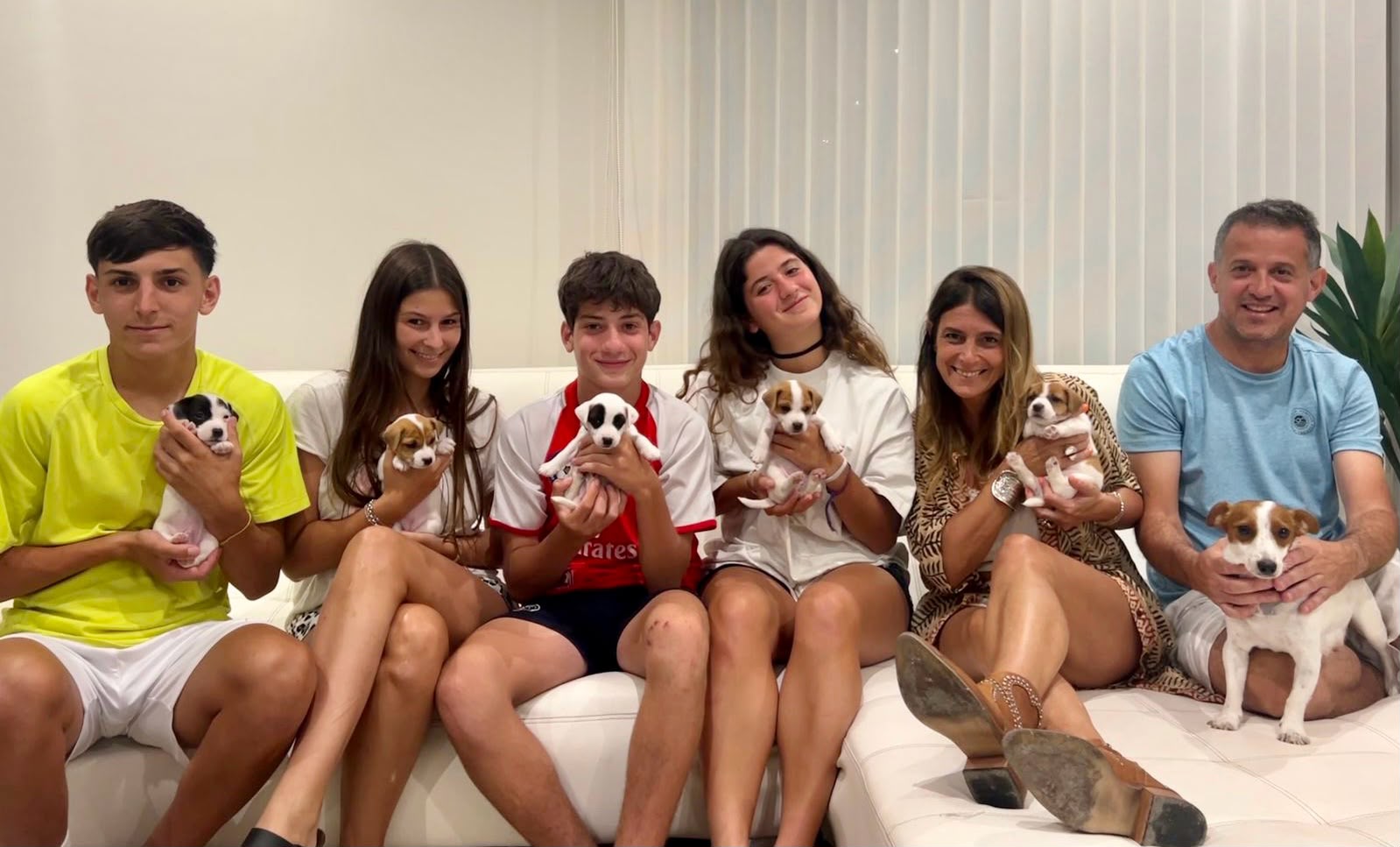 La familia con cachorros